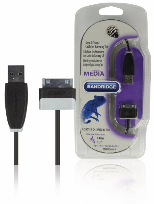 Synchronizační a Nabíjecí Kabel Samsung 30kolíkový Zástrčka - USB A Zástrčka 1.00 m Černá BBM39200B10 - obrázek produktu