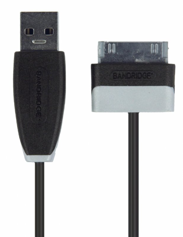 Synchronizační a Nabíjecí Kabel Samsung 30kolíkový Zástrčka - USB A Zástrčka 1.00 m Černá BBM39200B10 - obrázek č. 1