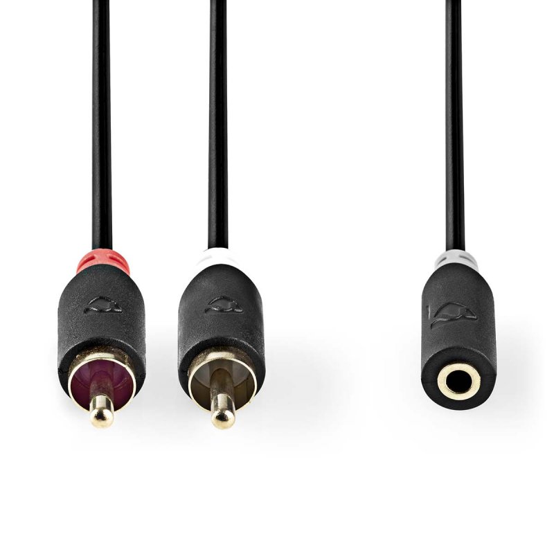 Stereo Audio Kabel | 2x RCA Zástrčka  CABW22255AT10 - obrázek produktu
