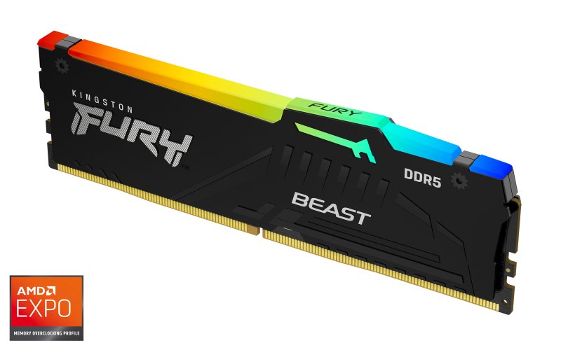 Kingston FURY Beast EXPO/ DDR5/ 16GB/ 5600MHz/ CL36/ 1x16GB/ Black - obrázek č. 2