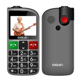 EVOLVEO EasyPhone FL, mobilní telefon pro seniory s nabíjecím stojánkem, stříbrná  (EP-801-FLS)
